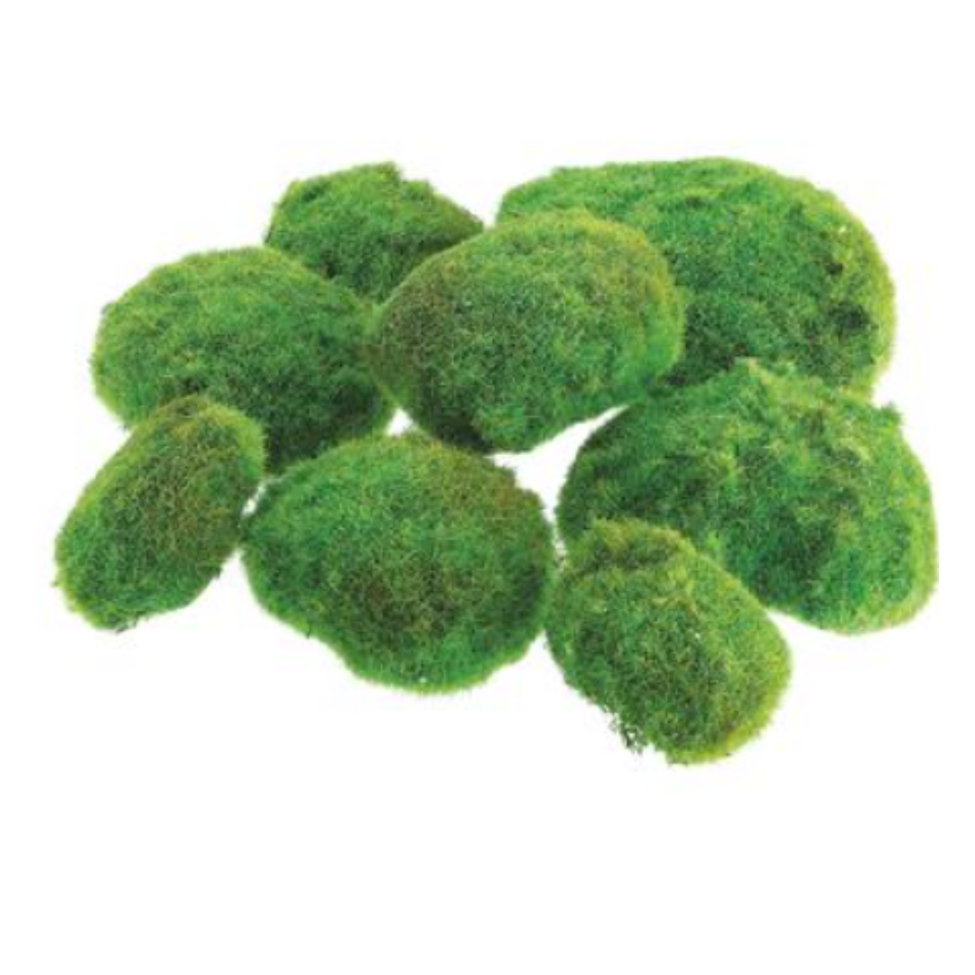 Chuangdi Roca de musgo artificial de varios tamaños, piedras verdes  sintéticas, bolas de musgo verde con musgo verde preservado de 0.71 oz para