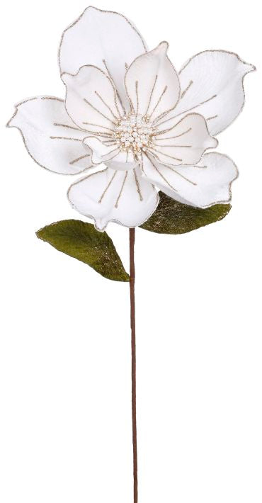 Magnolia Crema MR