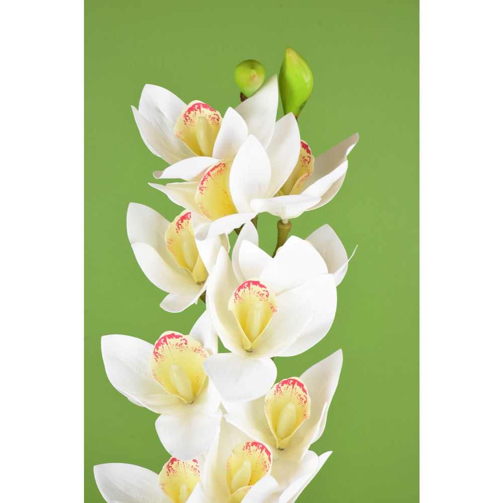 Vara Cymbidium Blanca