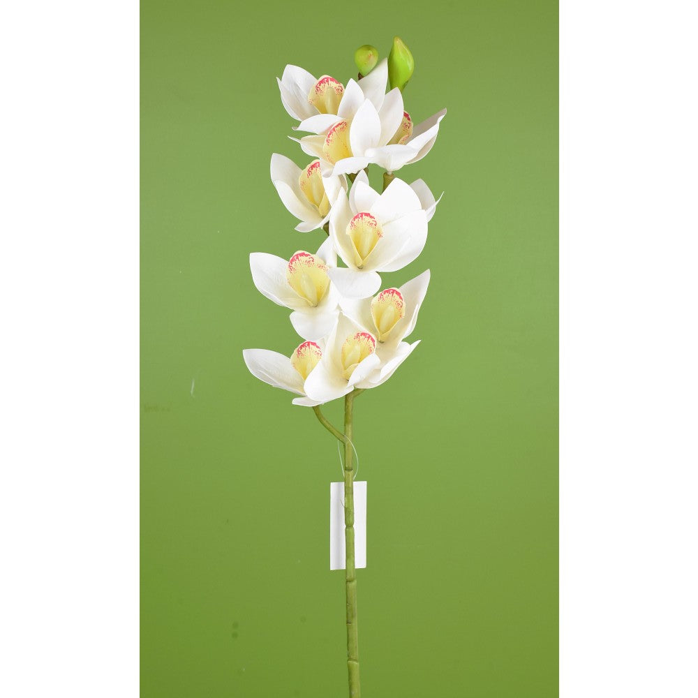 Vara Cymbidium Blanca