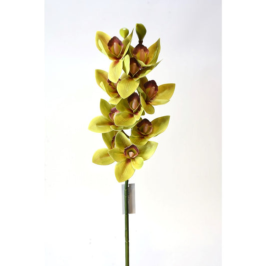 Vara Cymbidium Verde