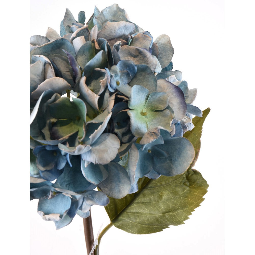 Hortensia Azul Seca