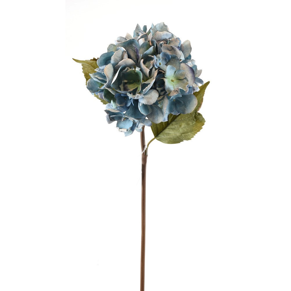 Hortensia Azul Seca