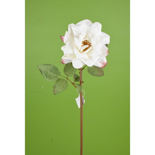 Rosa Blanca Abierta 22"