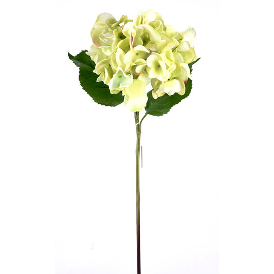 Hortensia Verde Fresh Touch