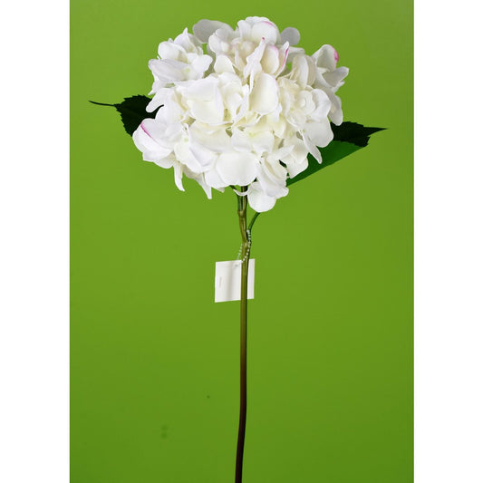 Hortensia Blanca Fresh Touch