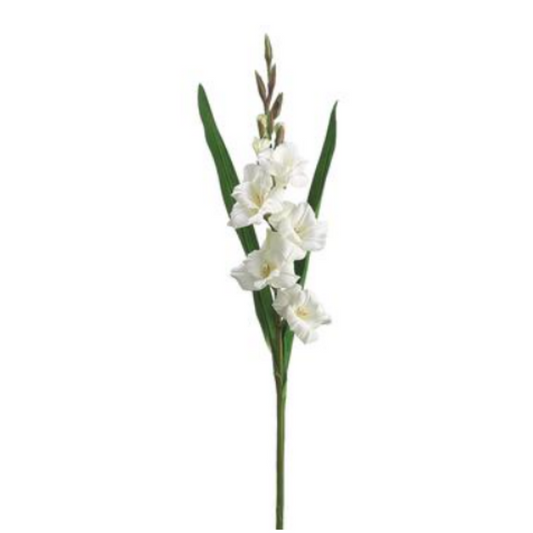 Gladiola 33"