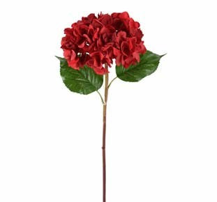 Hortensia Roja 24"